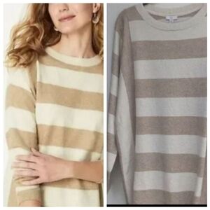 J.Jill Striped Boat Neck Dolman Sweater Tunic Large